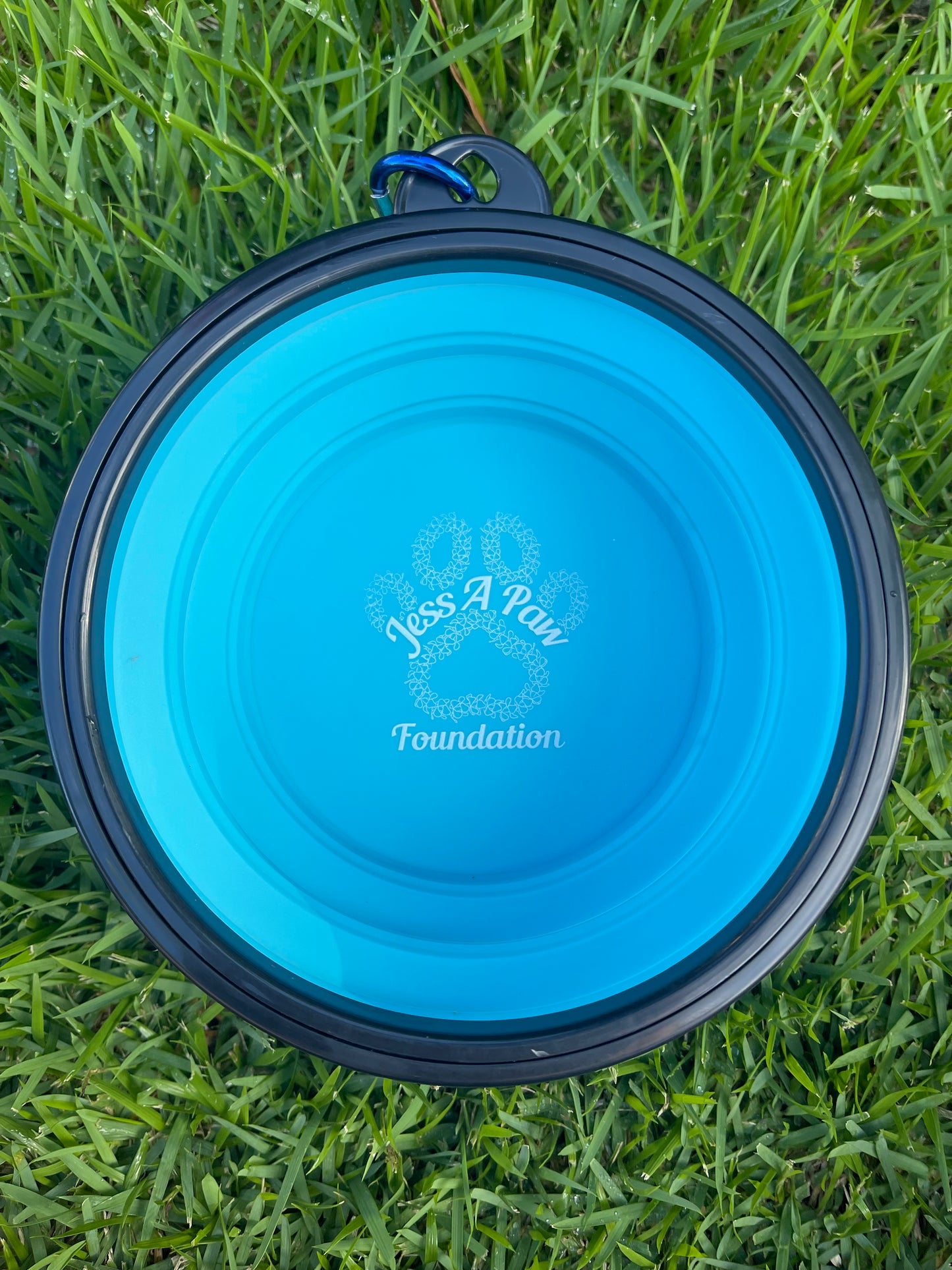 Sky Blue Collapsible Dog Bowl