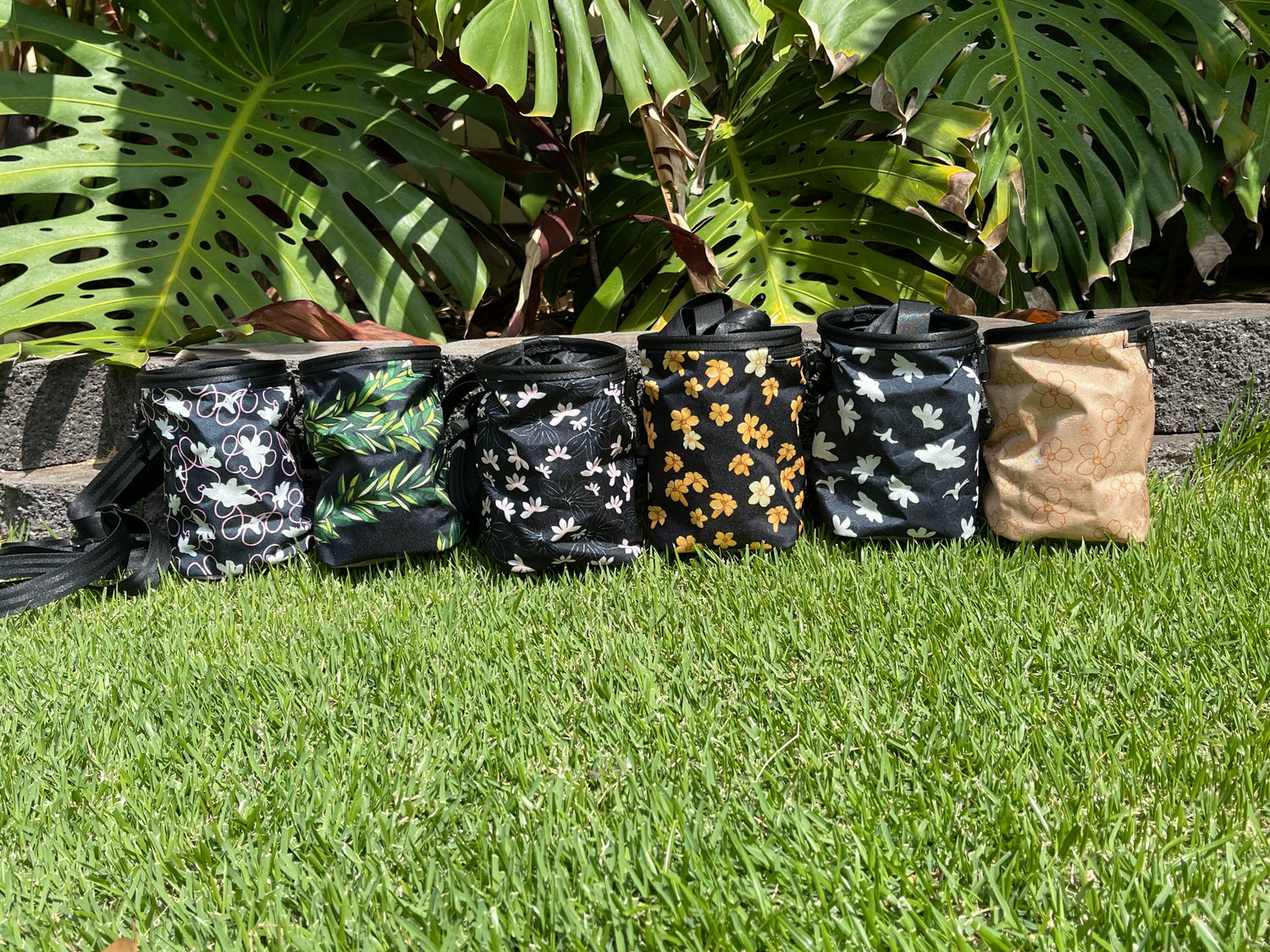 Dog Treat Pouchs