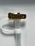Pittsburgh Steelers Straw Cover 5