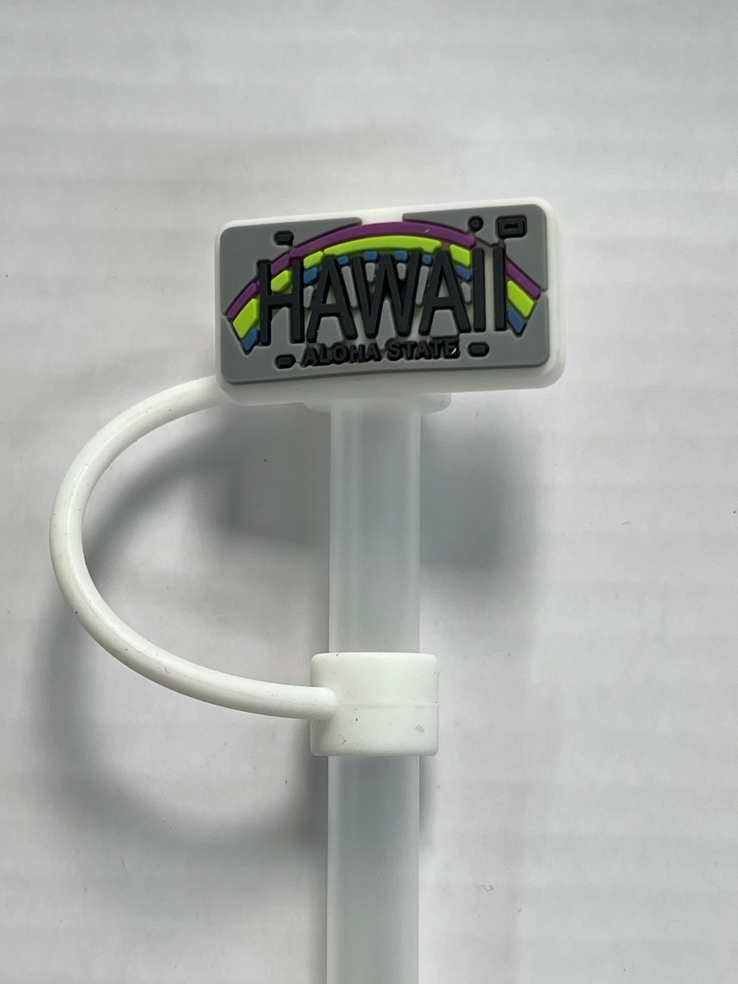 Hawaii License Plate