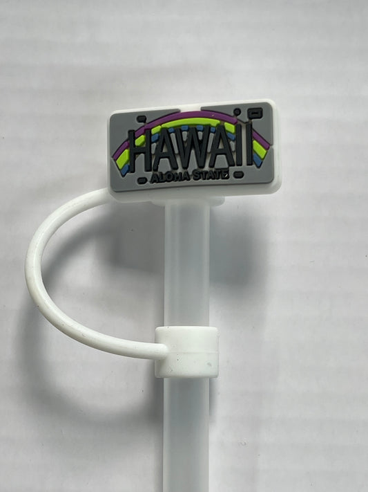 Hawaii License Plate