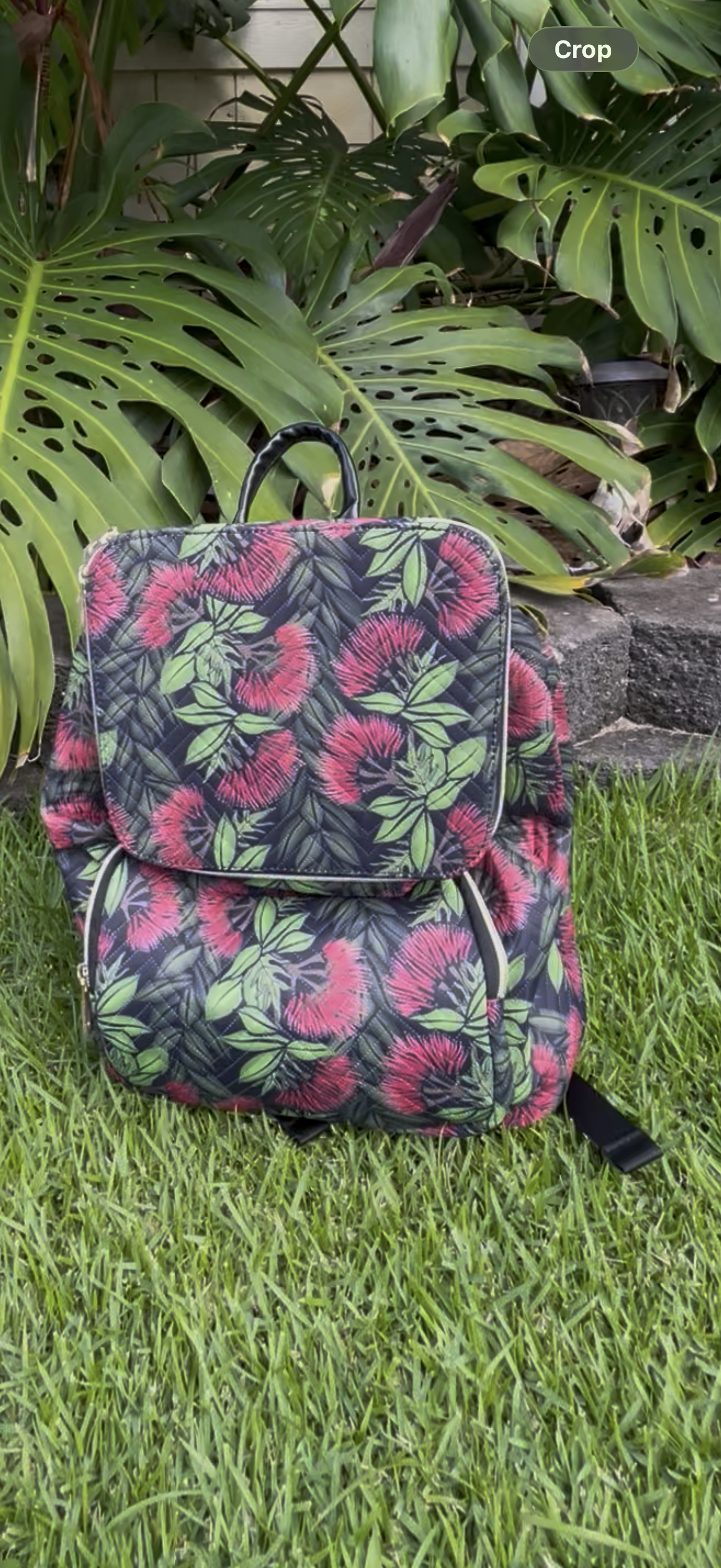 Red Ohia New Large Backpack