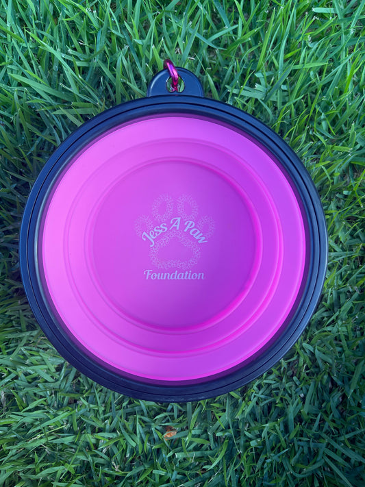 Pink Collapsible Dog Bowl