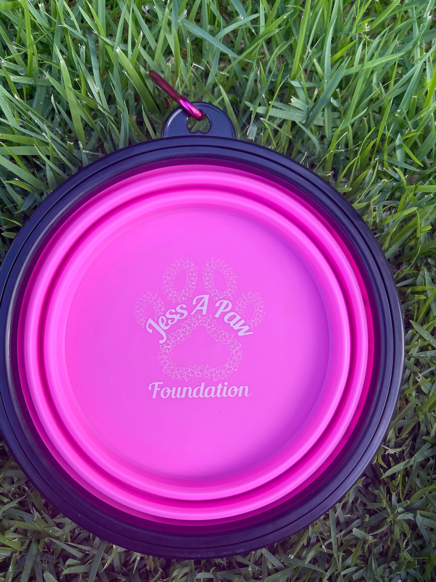 Pink Collapsible Dog Bowl