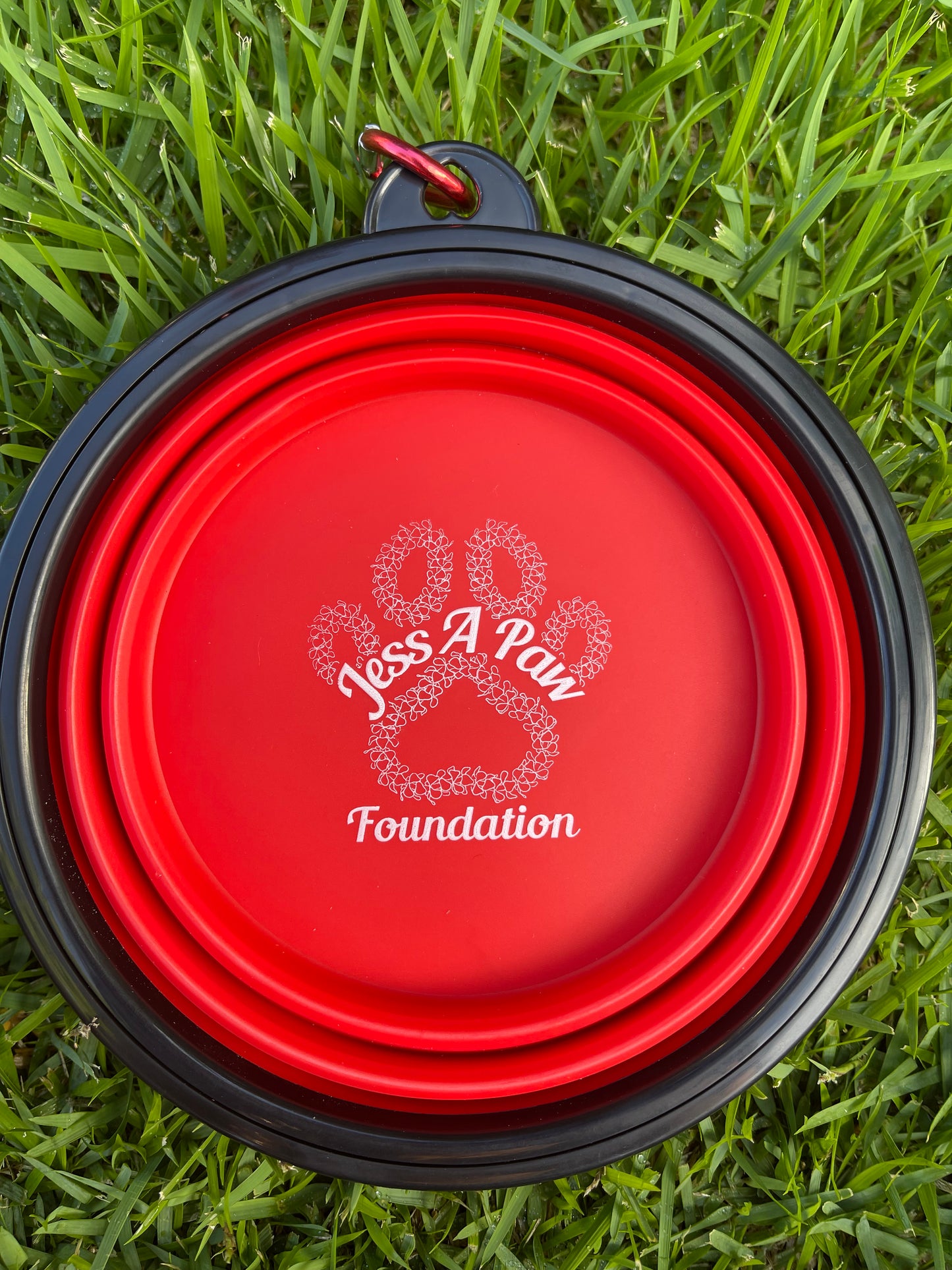 Red Collapsible Dog Bowl