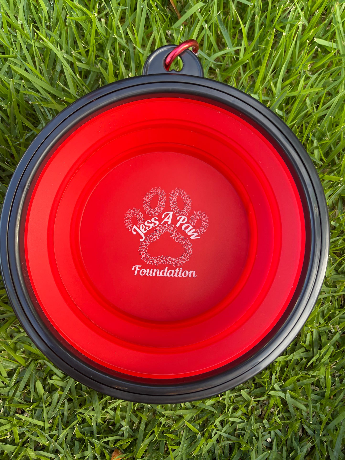 Red Collapsible Dog Bowl