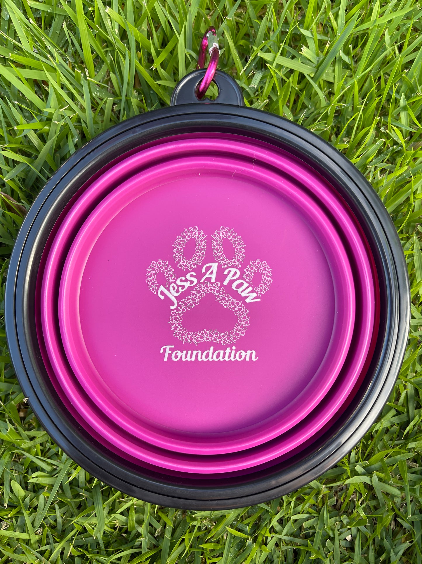 Purple Collapsible Dog Bowl