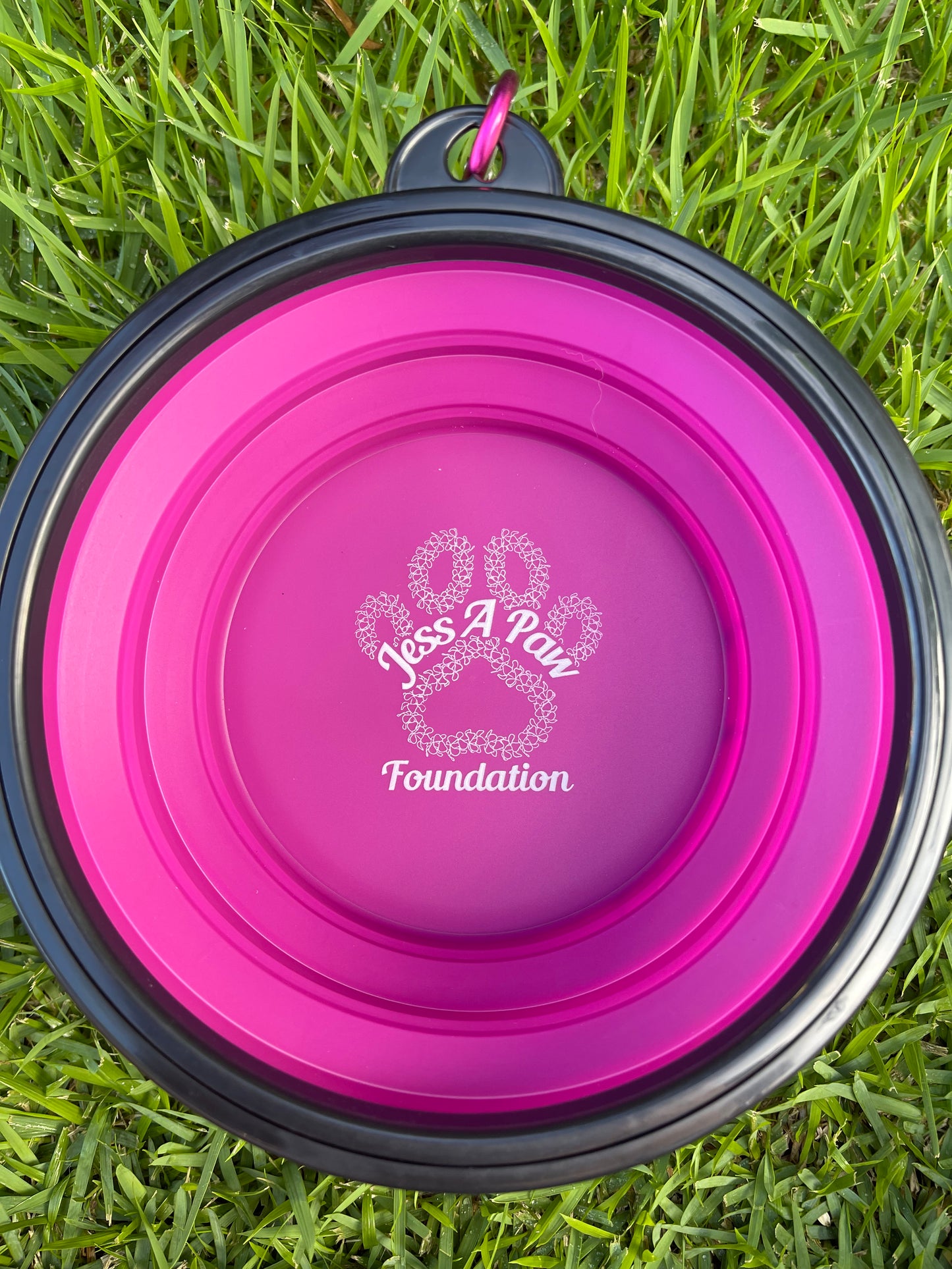 Purple Collapsible Dog Bowl