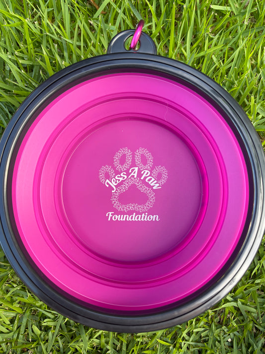 Purple Collapsible Dog Bowl