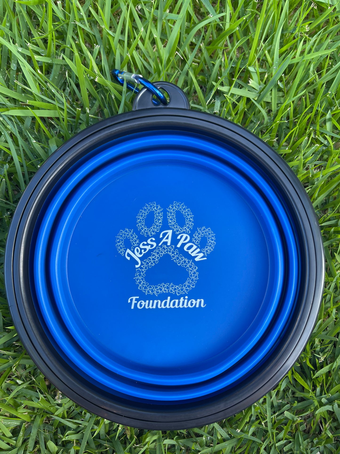 Blue Collapsible Dog Bowl
