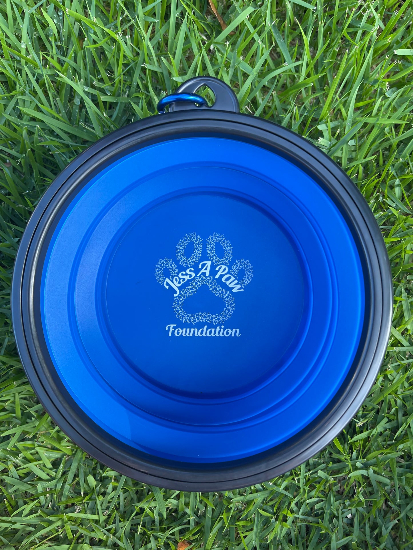 Blue Collapsible Dog Bowl