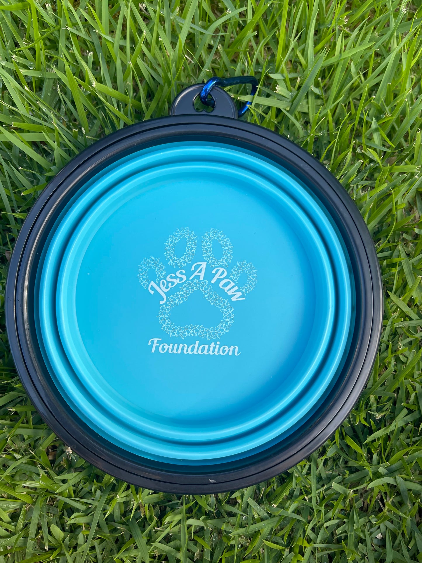 Sky Blue Collapsible Dog Bowl