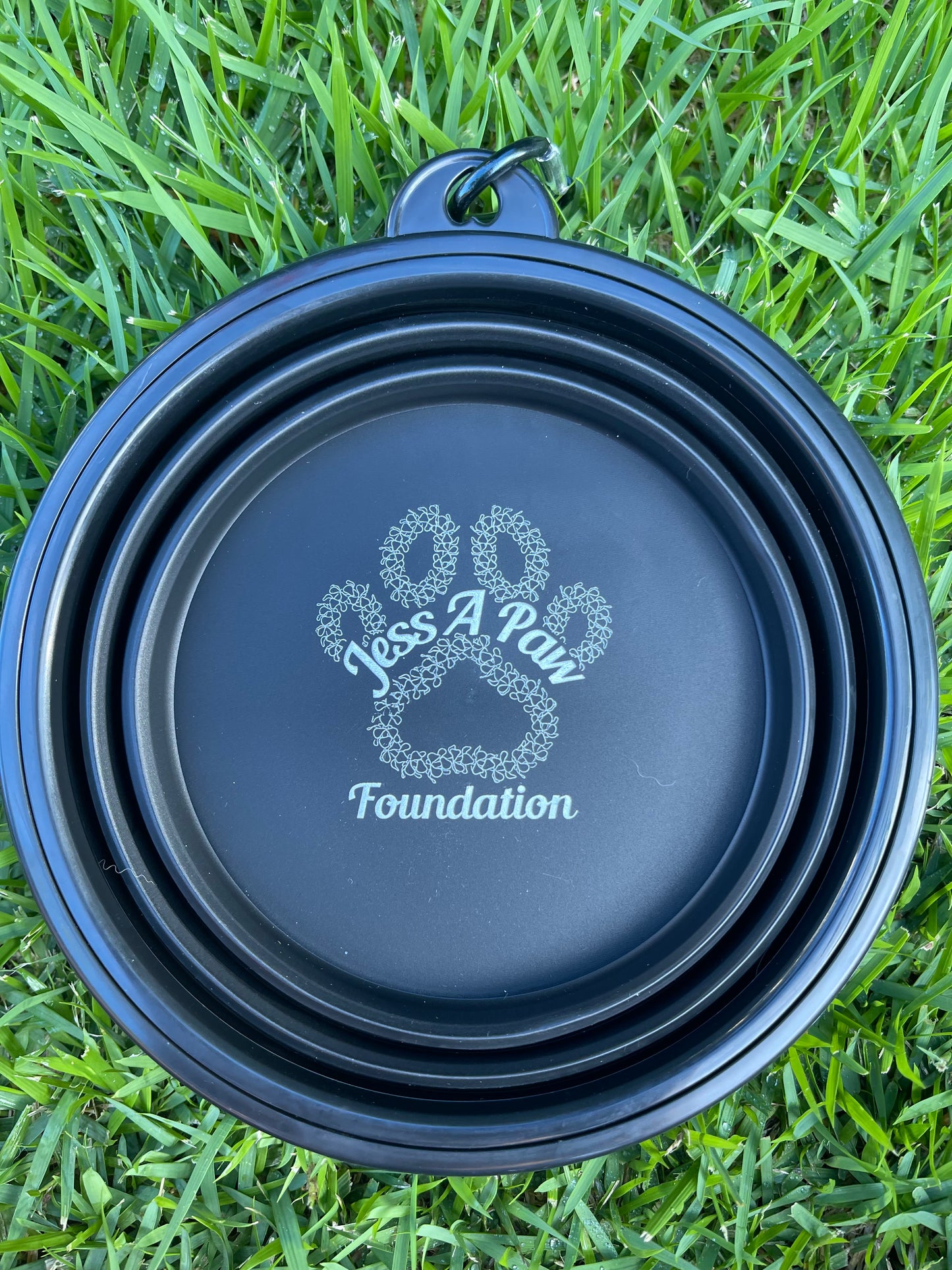 Black Collapsible Dog Bowl
