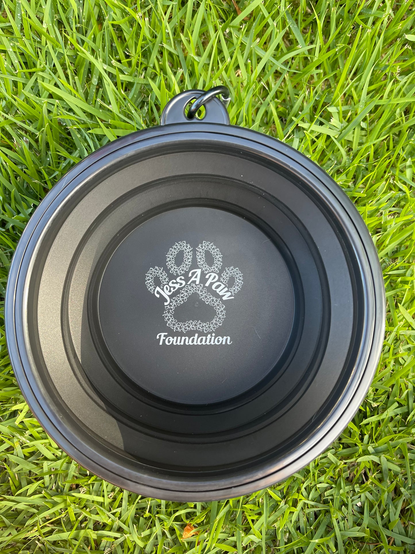 Black Collapsible Dog Bowl